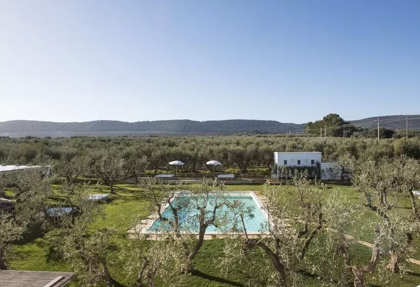 ベッドアンドブレックファースト Masseria Spesseto