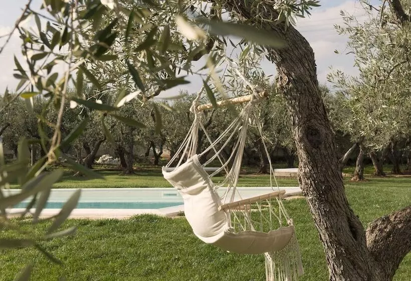 ベッドアンドブレックファースト Masseria Spesseto