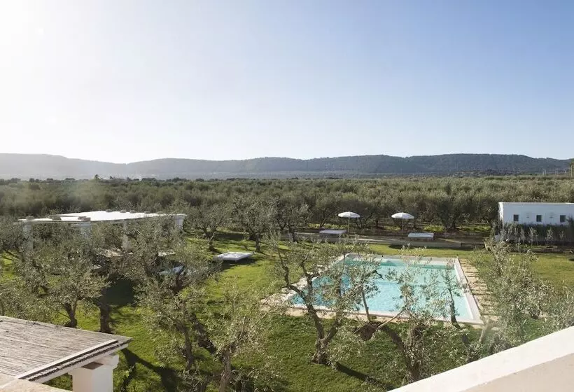 ベッドアンドブレックファースト Masseria Spesseto