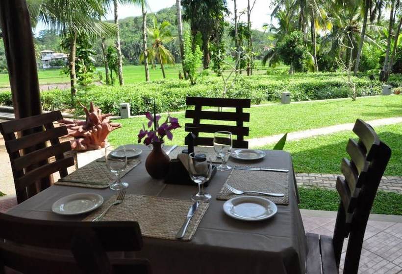 ベッドアンドブレックファースト Villa Peacock