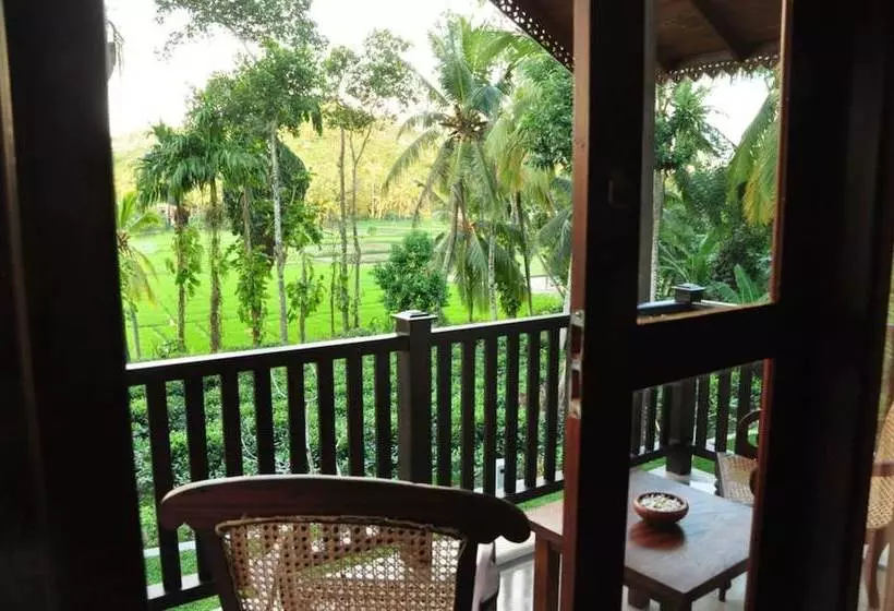 تختخواب و صبحانه Villa Peacock