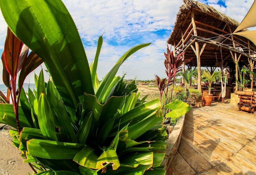 هتل Miramar Surfcamp