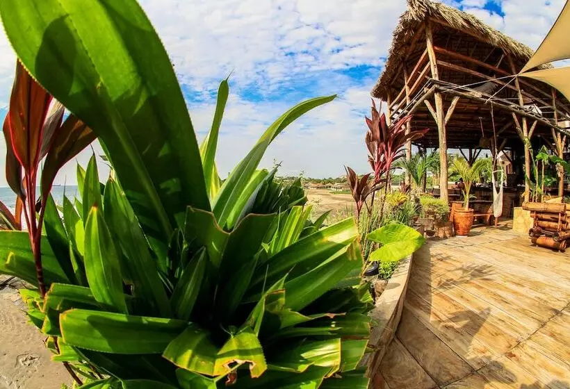 Hotelli Miramar Surfcamp