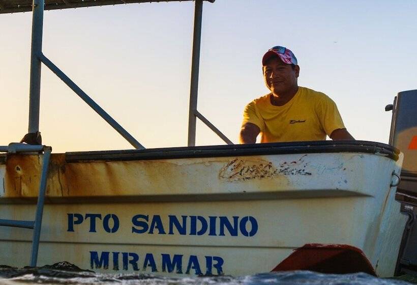 هتل Miramar Surfcamp