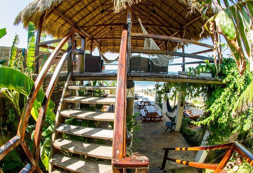 هتل Miramar Surfcamp