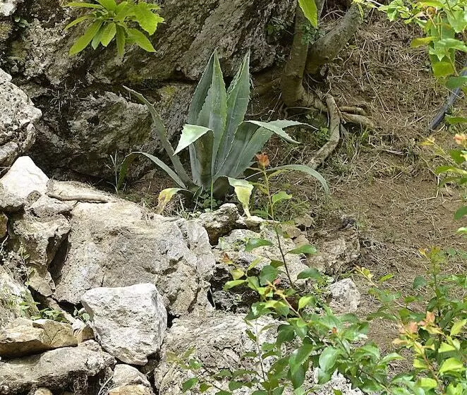田舎風ホテル Agriturismo Cornali
