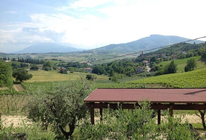 בית מלון כפרי Agriturismo Terre Vineate