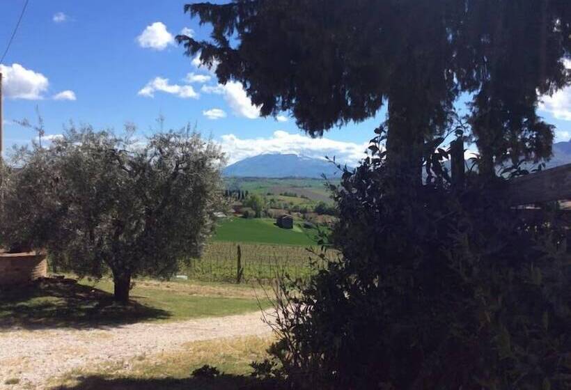 בית מלון כפרי Agriturismo Terre Vineate