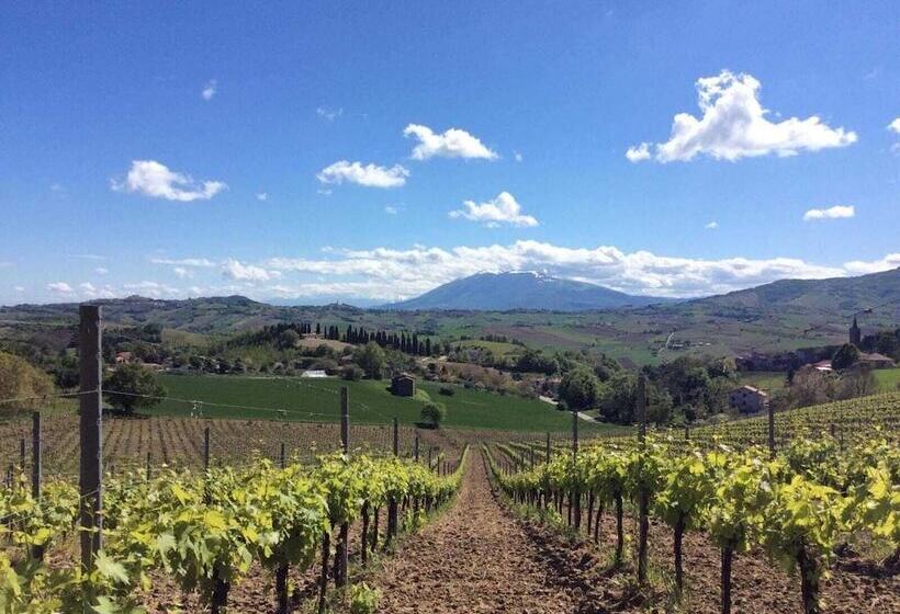 בית מלון כפרי Agriturismo Terre Vineate