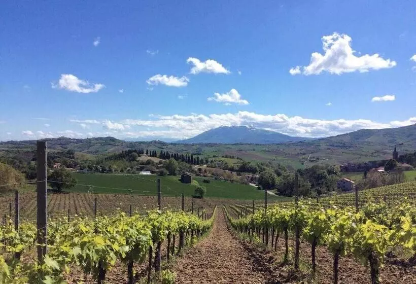 Maaseutuhotelli Agriturismo Terre Vineate