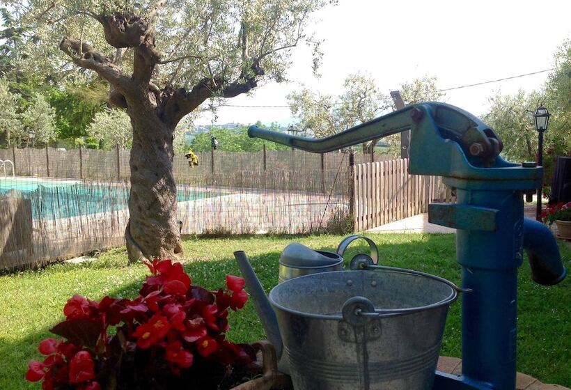 בית מלון כפרי Agriturismo Terre Vineate