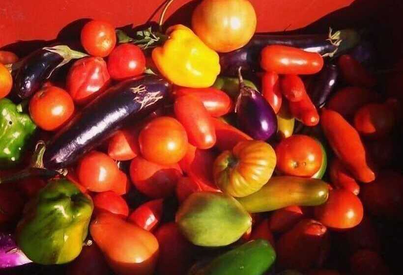 בית מלון כפרי Agriturismo Terre Vineate