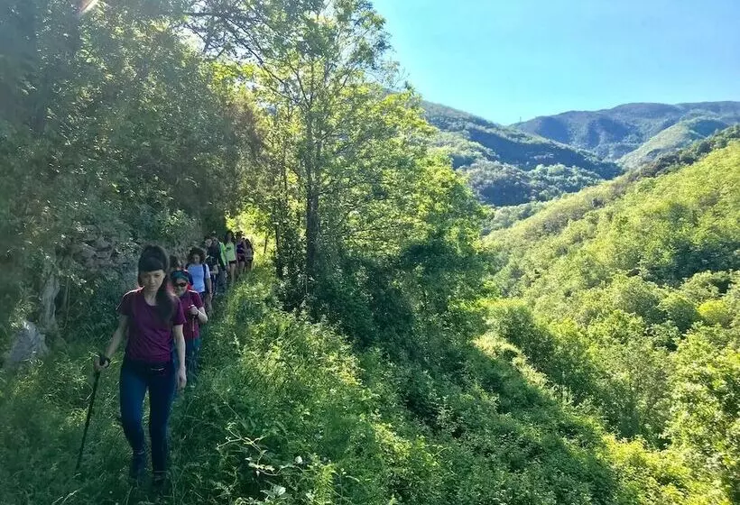 Medieval Village B&b