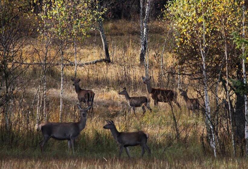 Пансион Honor Villa