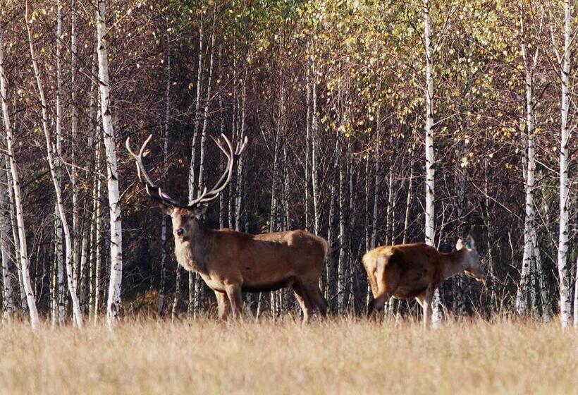 Пансион Honor Villa