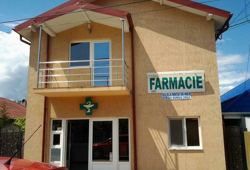 ペンション Vilele Brise De Mer