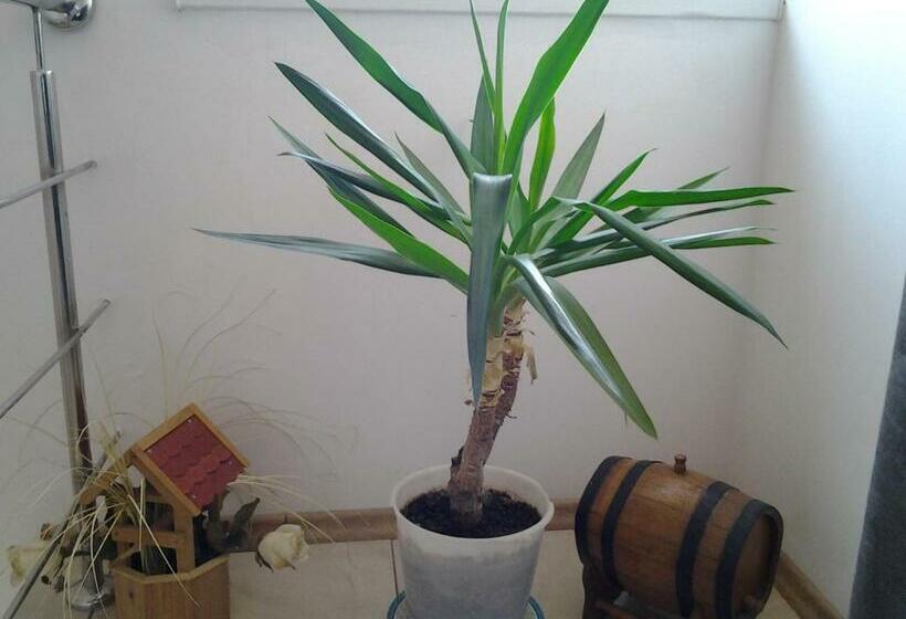 ペンション Vilele Brise De Mer