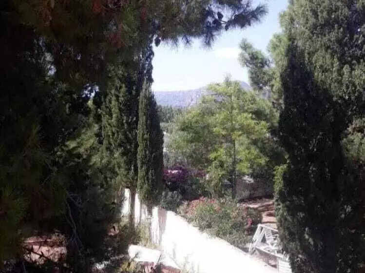 Villa Il Glicine Bed & Breakfast