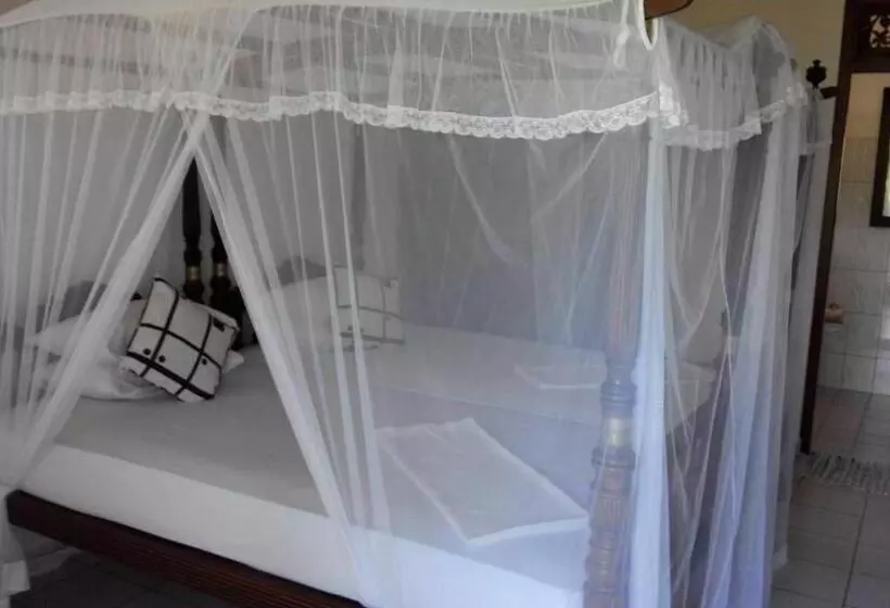 Aamiaismajoitus (B&B) Surf Villa