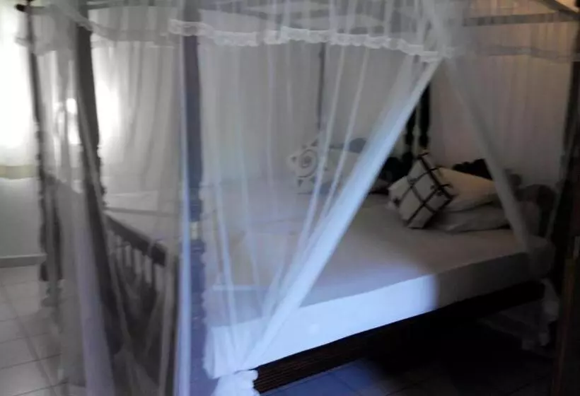 Aamiaismajoitus (B&B) Surf Villa