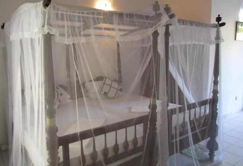 Aamiaismajoitus (B&B) Surf Villa