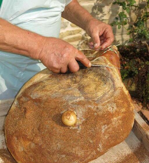 Otel Agriturismo Biologico Villa Rosa