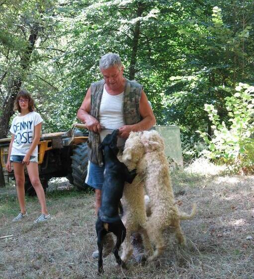 Otel Agriturismo Biologico Villa Rosa