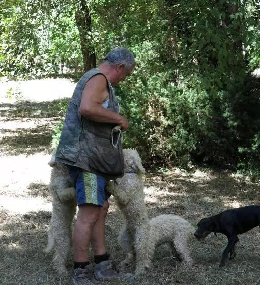ホテル Agriturismo Biologico Villa Rosa