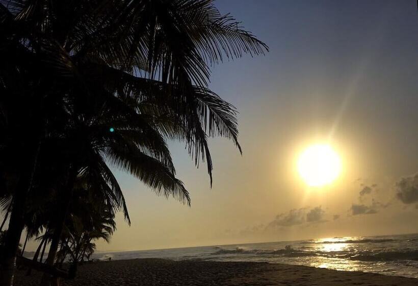 酒店 Alberta's Palace Beach Resort