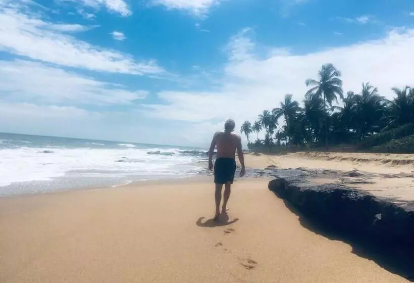 Hotelli Alberta's Palace Beach Resort