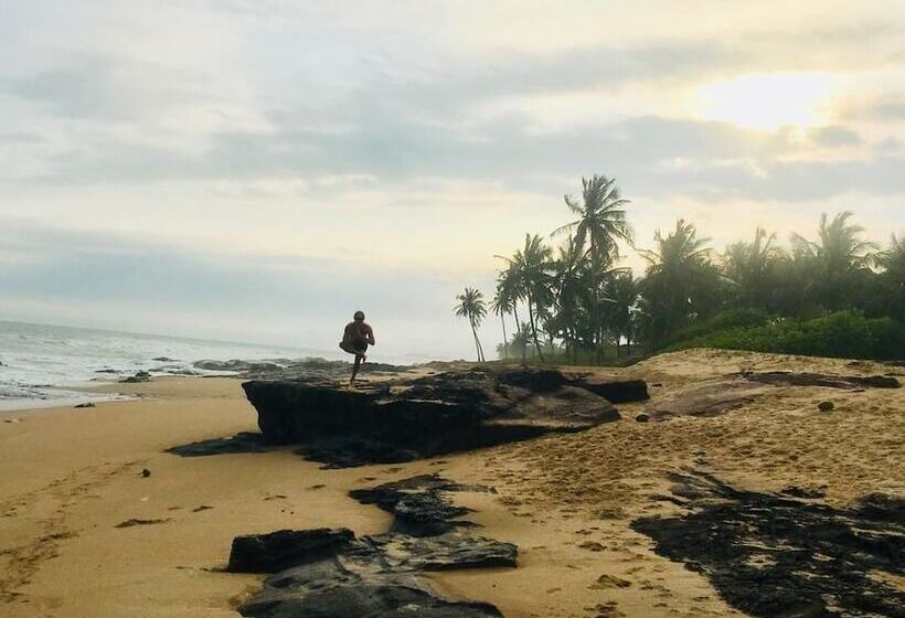 酒店 Alberta's Palace Beach Resort