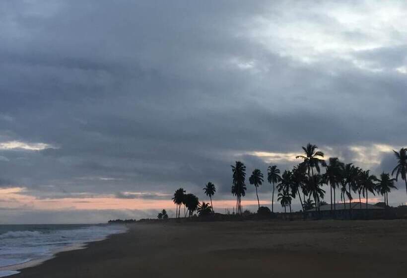 酒店 Alberta's Palace Beach Resort