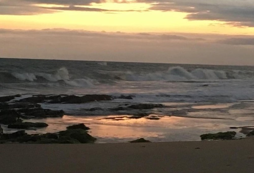 酒店 Alberta's Palace Beach Resort