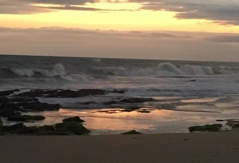 Hotelli Alberta's Palace Beach Resort