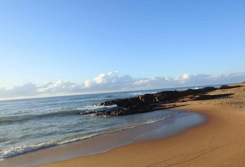 酒店 Alberta's Palace Beach Resort