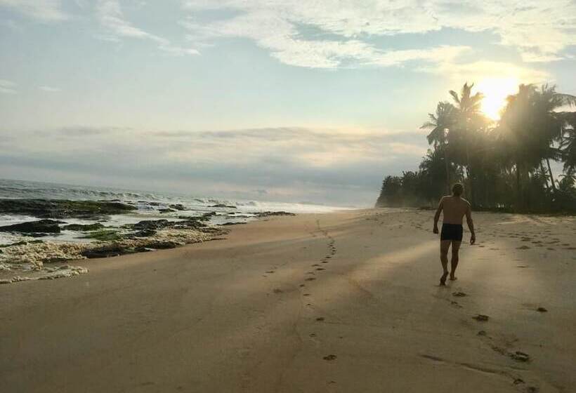 酒店 Alberta's Palace Beach Resort