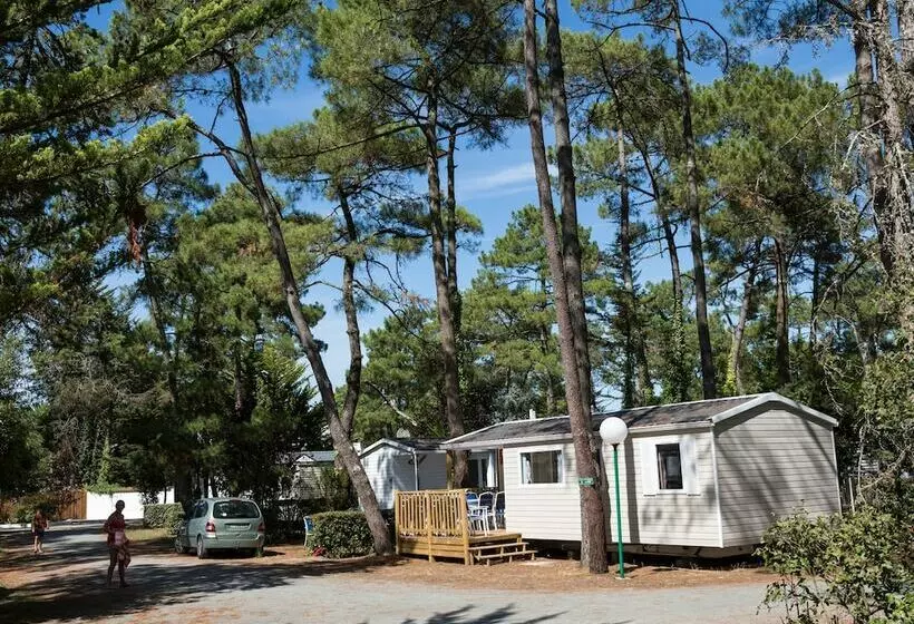 ホテル Domaine Résidentiel De Plein Air Odalys Les Dunes