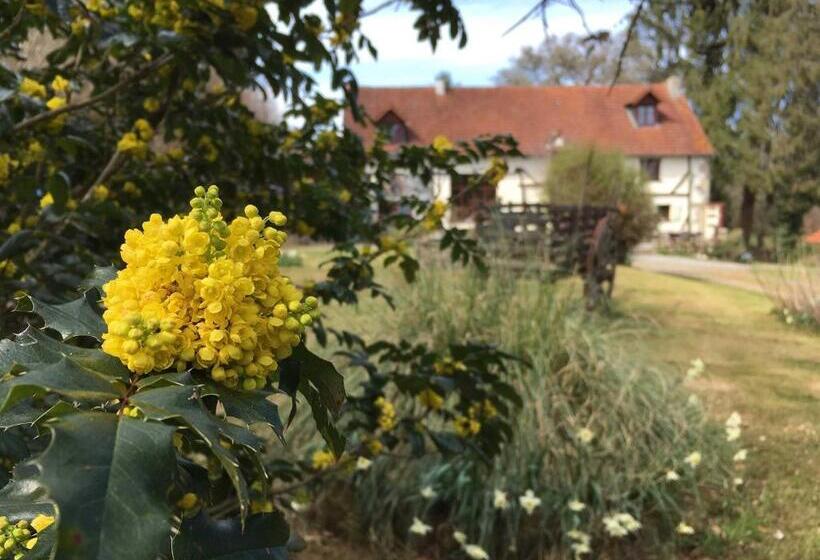 Пансион Domaine Les Filloux