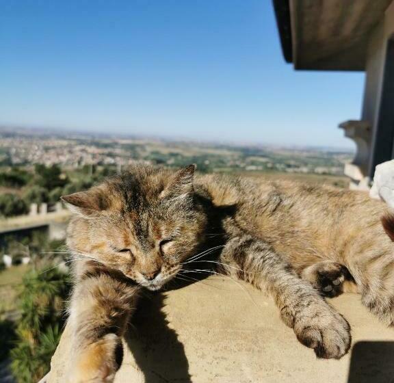 צימר Villa Dei Romani   Country House