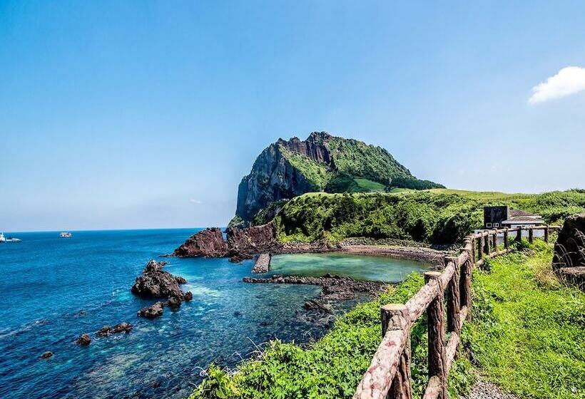 فندق Sea Dragon Pension