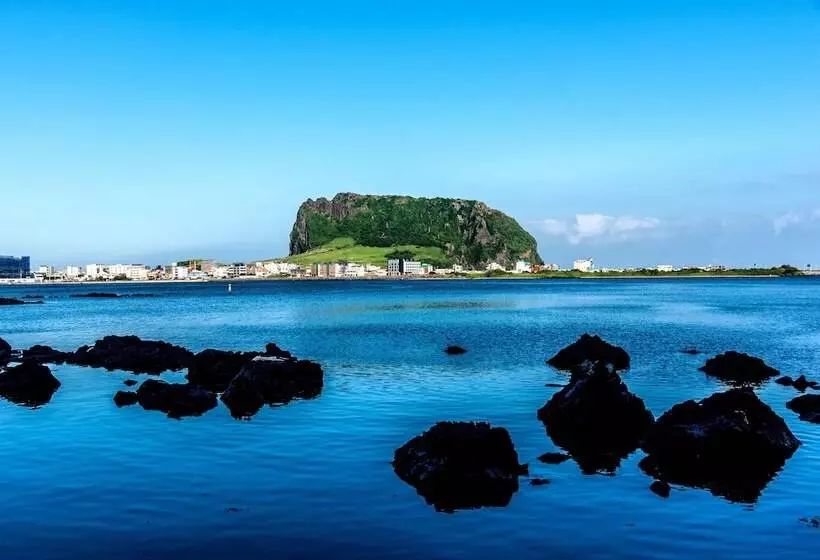 ホテル Sea Dragon Pension