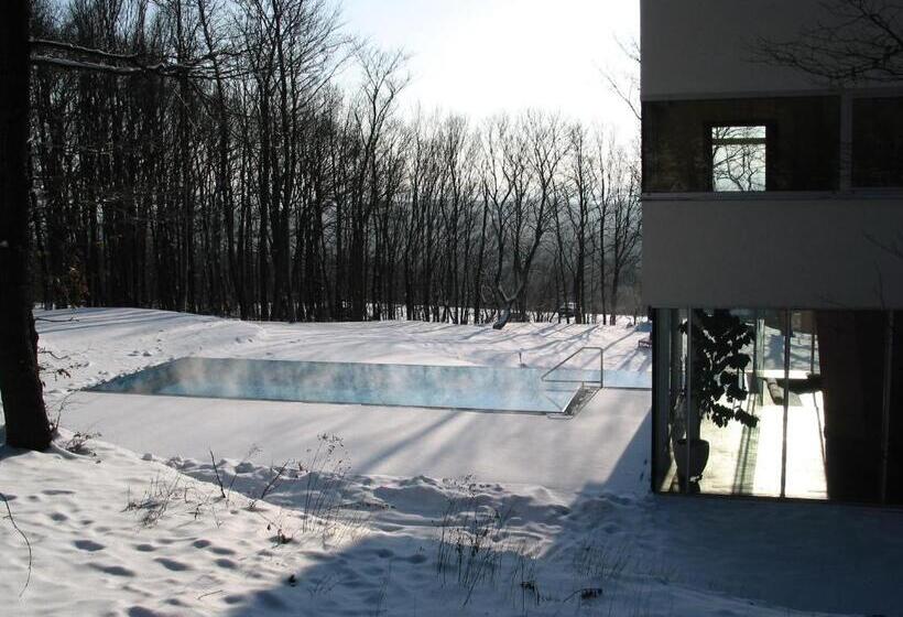 Berghotel Tulbingerkogel