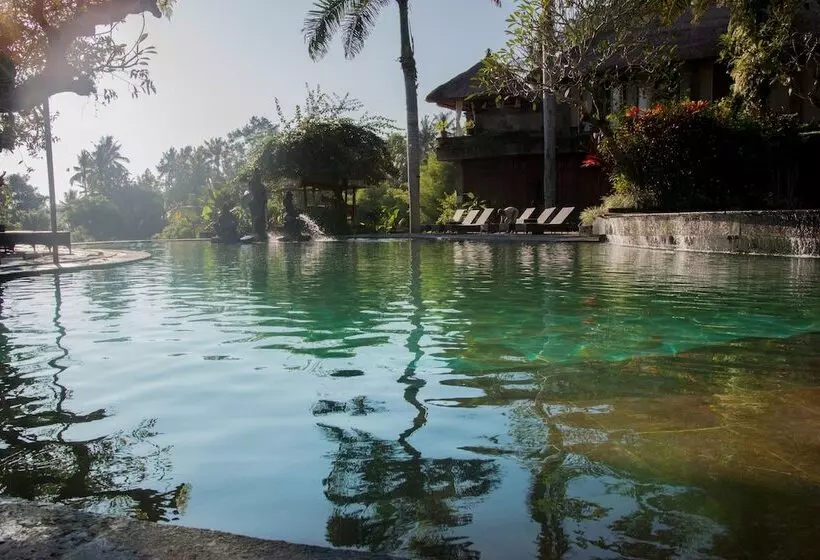 בית מלון כפרי The Payogan Villa Resort And Spa