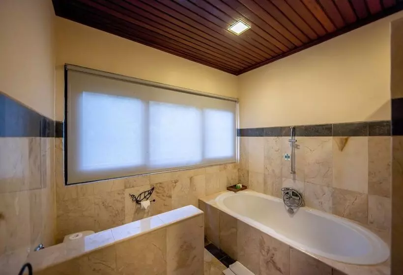 בית מלון כפרי The Payogan Villa Resort And Spa