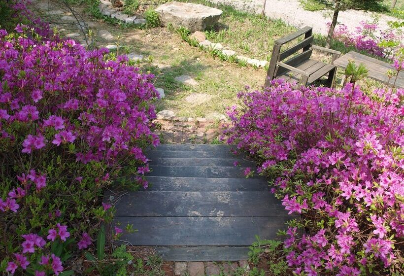 בית מלון כפרי Geum Dang Lodge