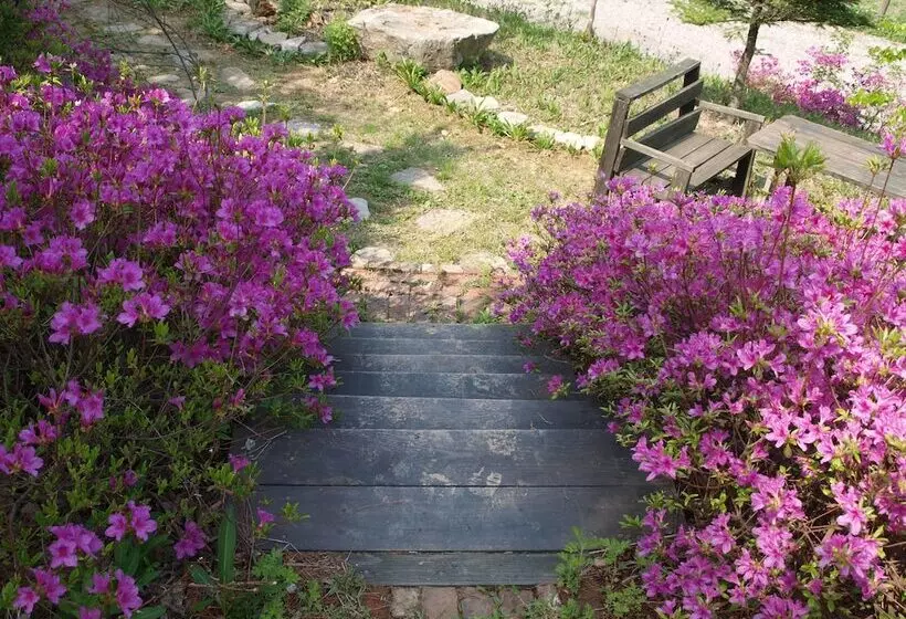 Hotelli Geum Dang Lodge