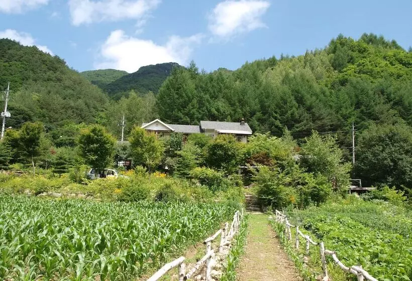 Hotelli Geum Dang Lodge