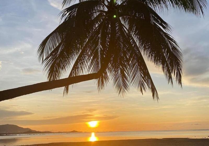 호텔 Sasitara   Thai  Villas