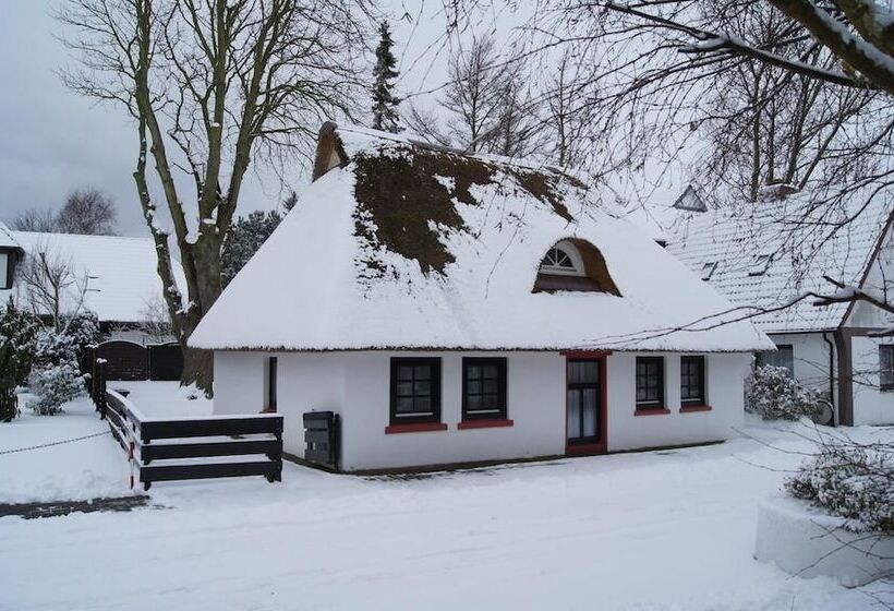 Holiday Homes Buchholz