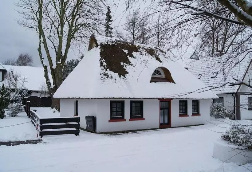 Holiday Homes Buchholz